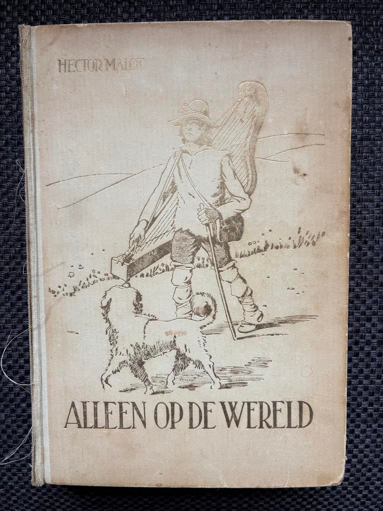 Alleen op de wereld - Hector Malot, Boeken, Literatuur, Ophalen of Verzenden, Gelezen, Europa overig