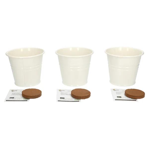 Kweekset theekruiden van Dille en Kamille, :3 smaken, Tuin en Terras, Ophalen of Verzenden, Nieuw, Overige typen