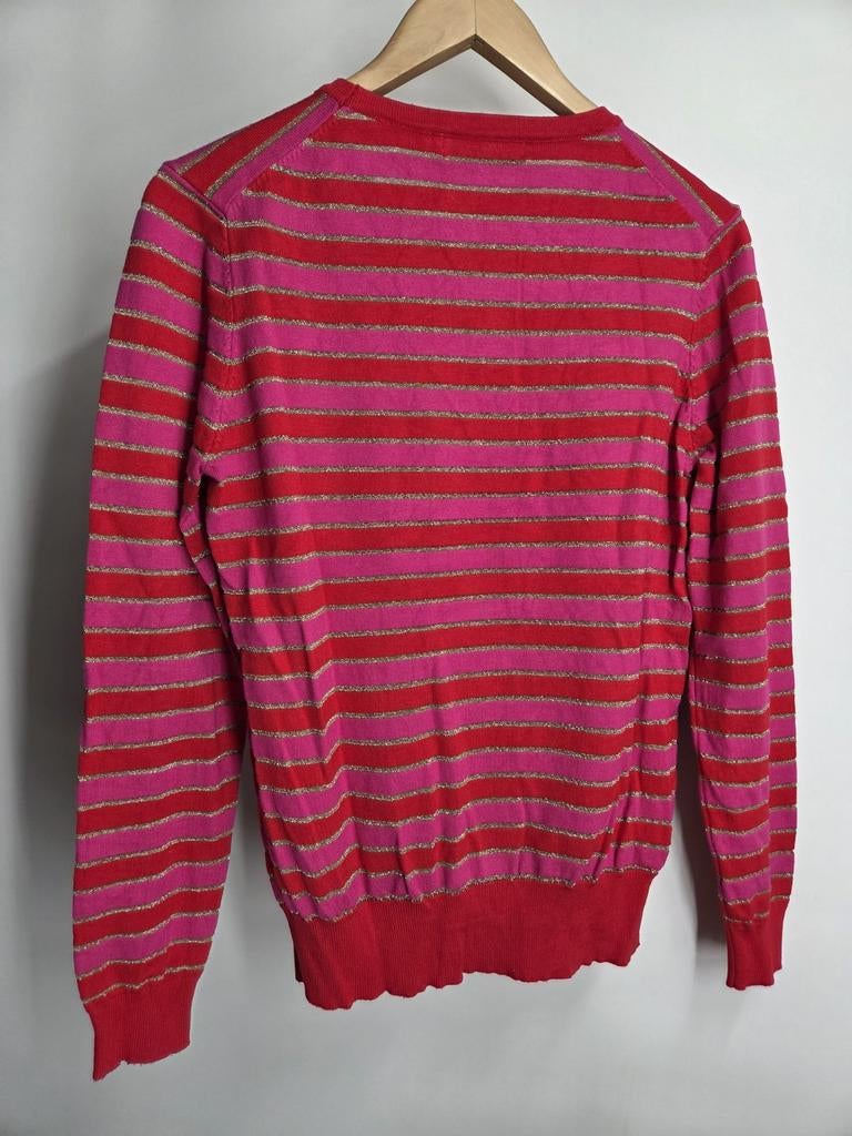 Ambika dunne trui maat M/L (2487*), Maat 38/40 (M), Zo goed als nieuw, Annika, Ambika