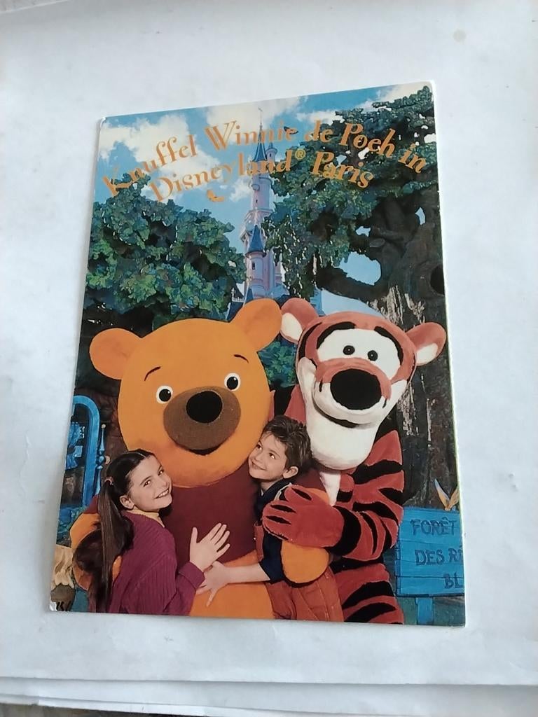 KNUFFEL WINNIE DE POEH IN DISNEYLAND PARIS, Ophalen of Verzenden, Klederdracht