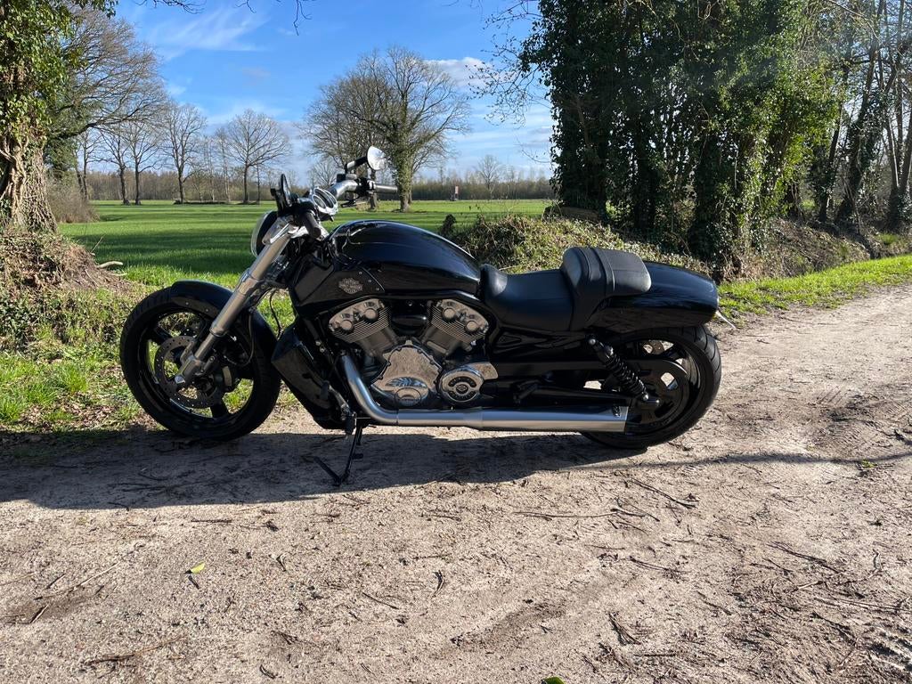 Harley Davidson V-Rod Muscle 2010 5h