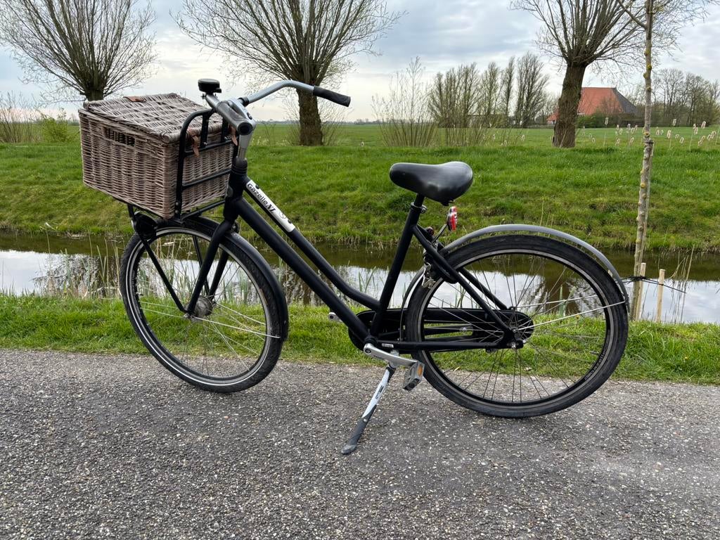 Gazelle transporter fiets, 53 tot 56 cm, Ophalen, Gebruikt