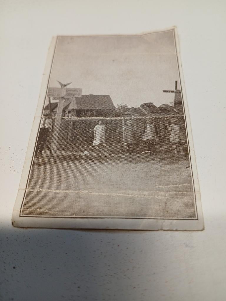 Verzamelaars kaartje van Birdaard,  5 x 8 cm., Verzamelen, Foto's en Prenten, Ophalen of Verzenden, Voor 1940