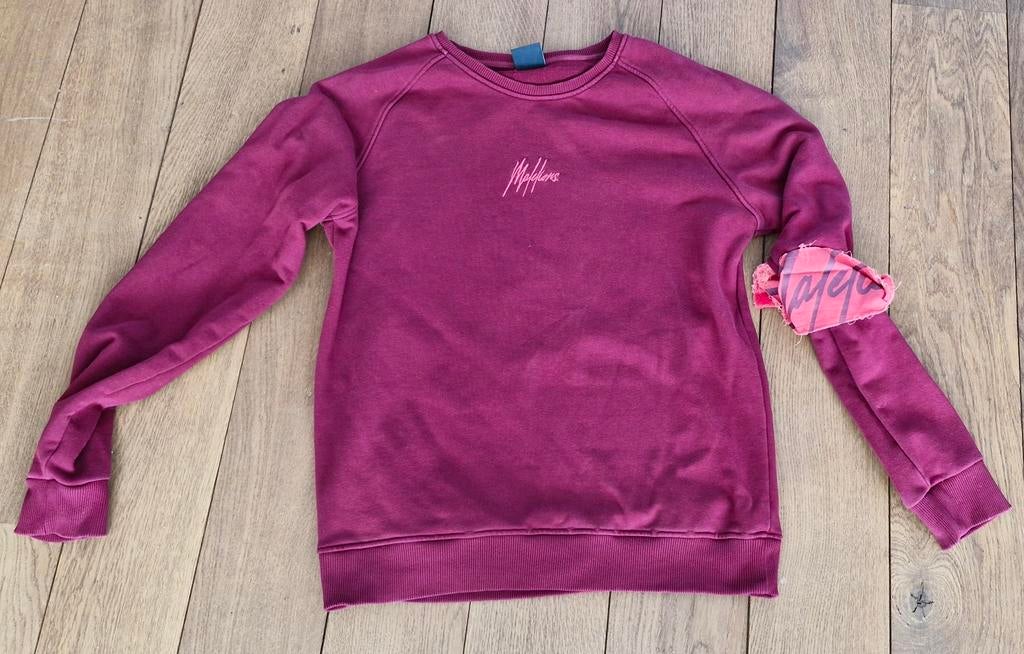 Trui (Maat XL,  Malelions,  donker rood/ Paars van kleur), Kinderen en Baby's, Kinderkleding | Overige, Ophalen of Verzenden, Zo goed als nieuw