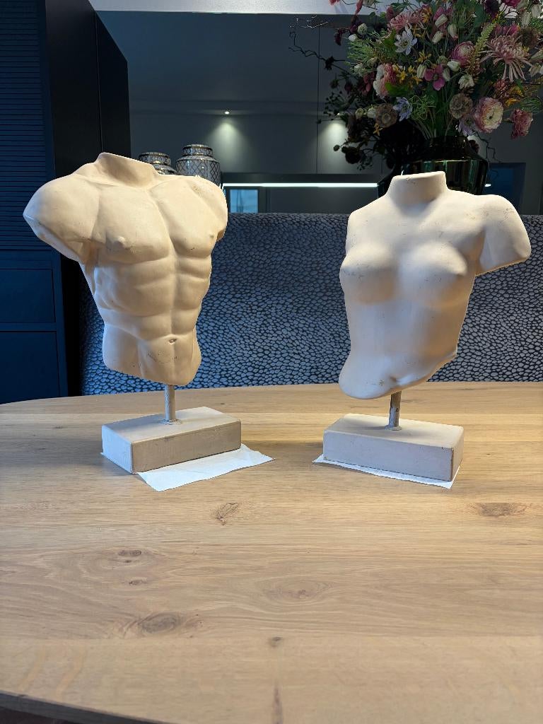 Te koop: 2 borstbeelden, Ophalen, Overige onderwerpen, Natuurlijk materiaal, 20 - 50 cm