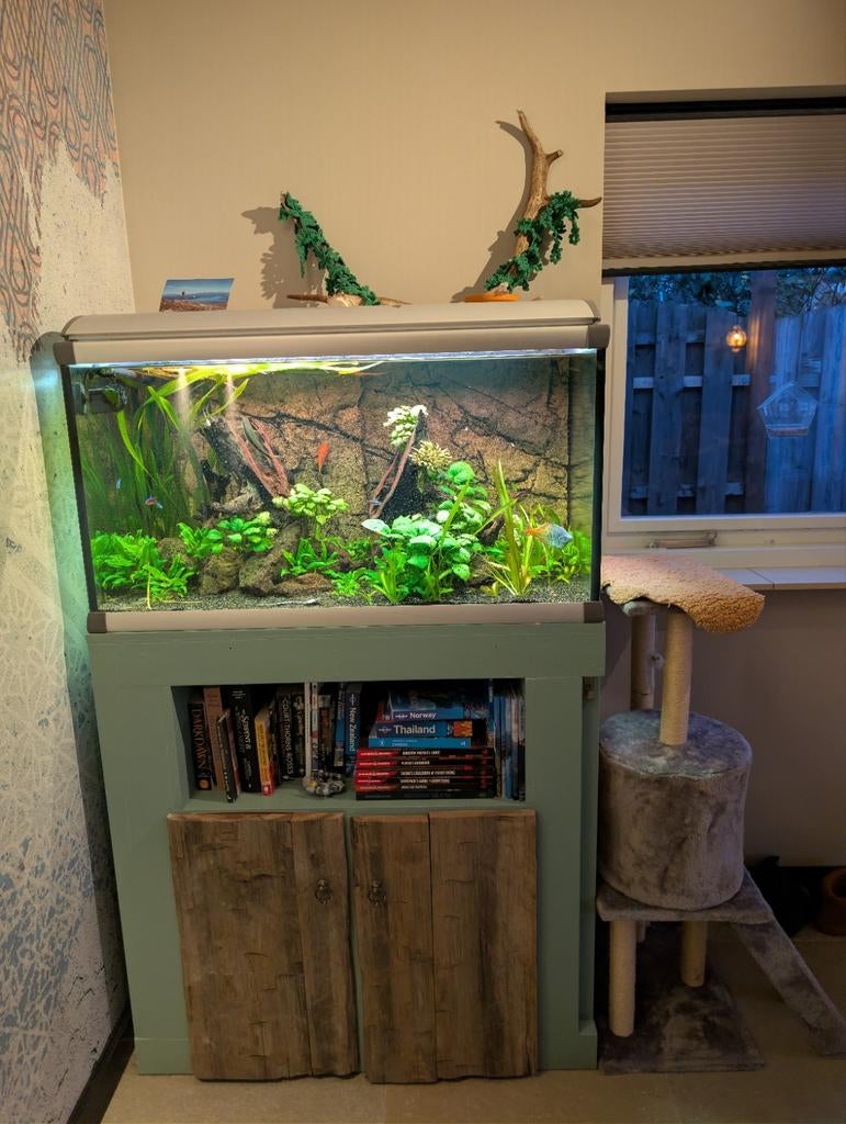 Gevuld AkvaStabil aquarium - compleet en direct klaar (250L), Ophalen, Gebruikt, Gevuld zoetwateraquarium