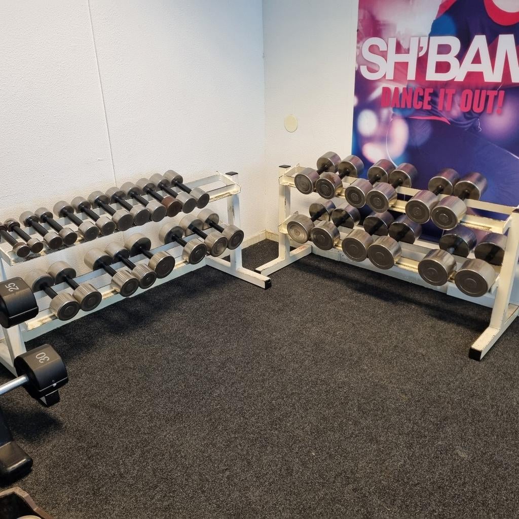 Dumbells inclusief opbergreken, Sport en Fitness, Ophalen, Gebruikt, Benen, Dumbbell