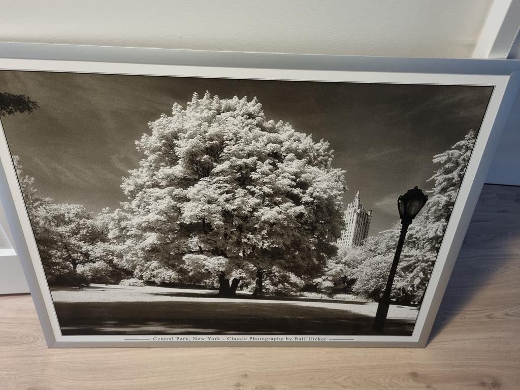 Poster Central Park New York in zilveren lijst (Ikea), Ophalen, Zo goed als nieuw, 75 tot 100 cm, Foto of Poster