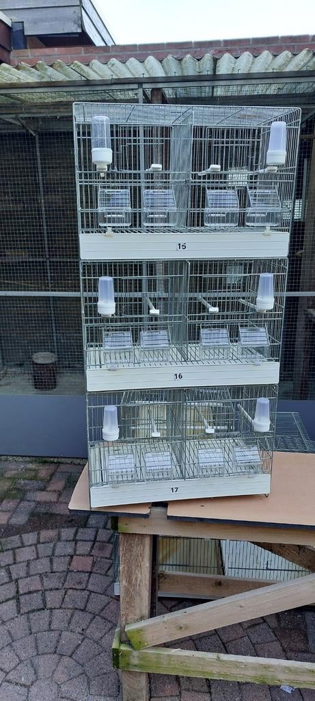 3 x 2 draadkooien 50 ( 2 x 25 ), Ophalen, Gebruikt, Metaal, Broedkooi of Kweekkooi