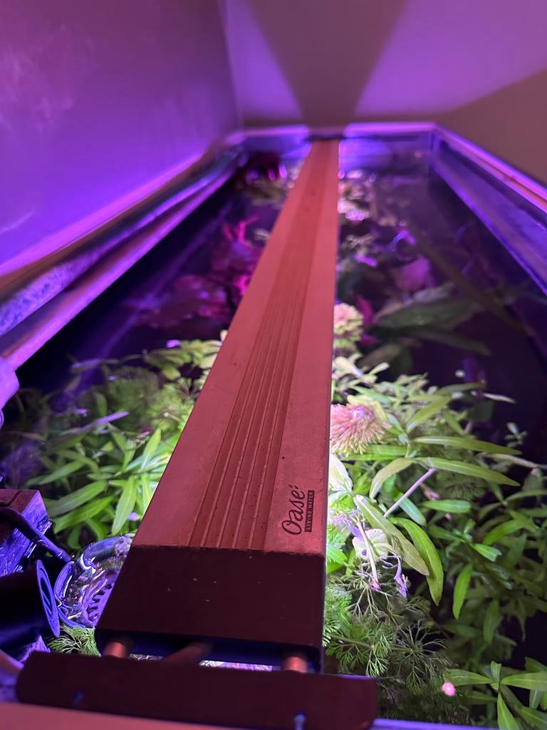 Oase Highline led met EAC, Ophalen, Zo goed als nieuw, Verlichting of Verwarming