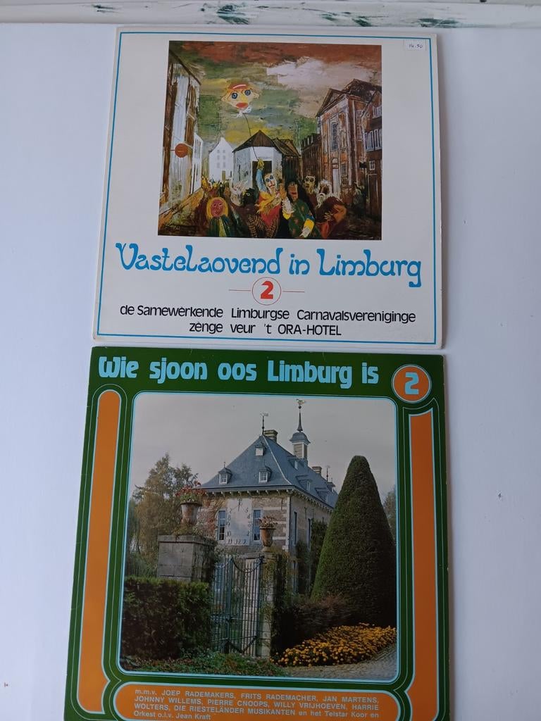 Telstar lp's, Ophalen of Verzenden, Zo goed als nieuw, Overige formaten, Levenslied of Smartlap