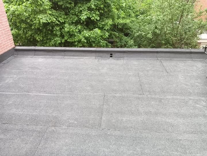 Dakdekker, Diensten en Vakmensen, Dakdekkers en Rietdekkers