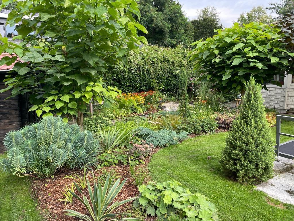 Tuinman aangeboden... HET IS ER WEER TIJD VOOR!, Tuinonderhoud of Snoeiwerk