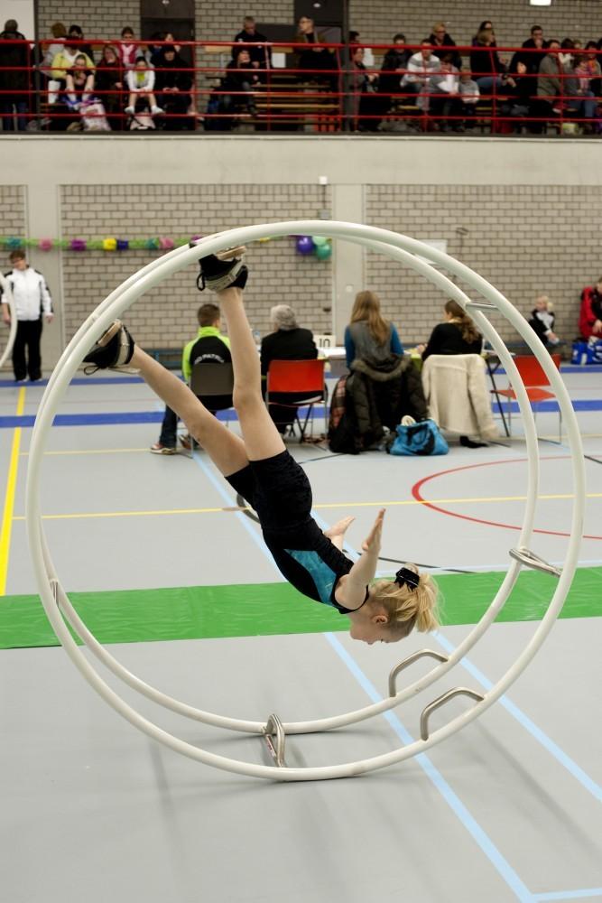 rhönrad top sport riemen echt leer, Ophalen of Verzenden, Nieuw, Overige typen