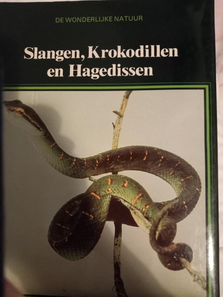 lekturama, Ophalen of Verzenden, Nieuw, Natuur algemeen