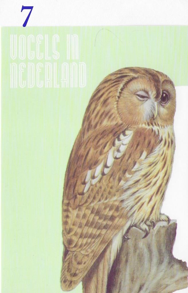 Ansichtkaart Vogels in Nederland Bosuil Bosvogel ( B3935), Verzenden, 1980 tot heden, Ongelopen