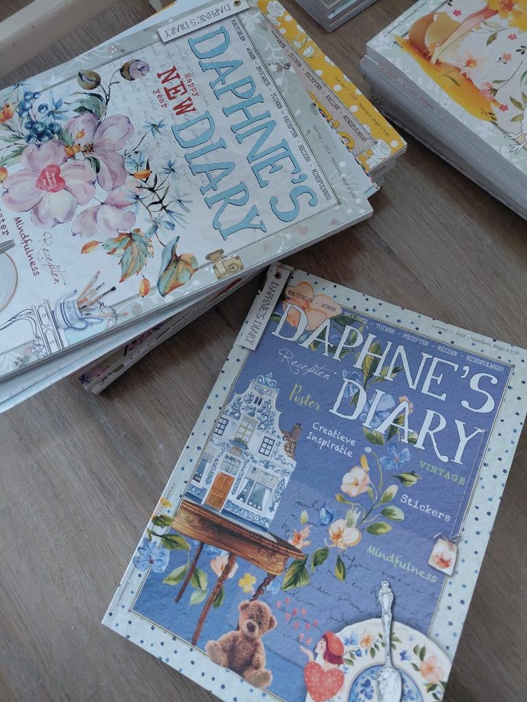 Daphne,s Diary te koop gevraagd, Boeken, Ophalen, Zo goed als nieuw