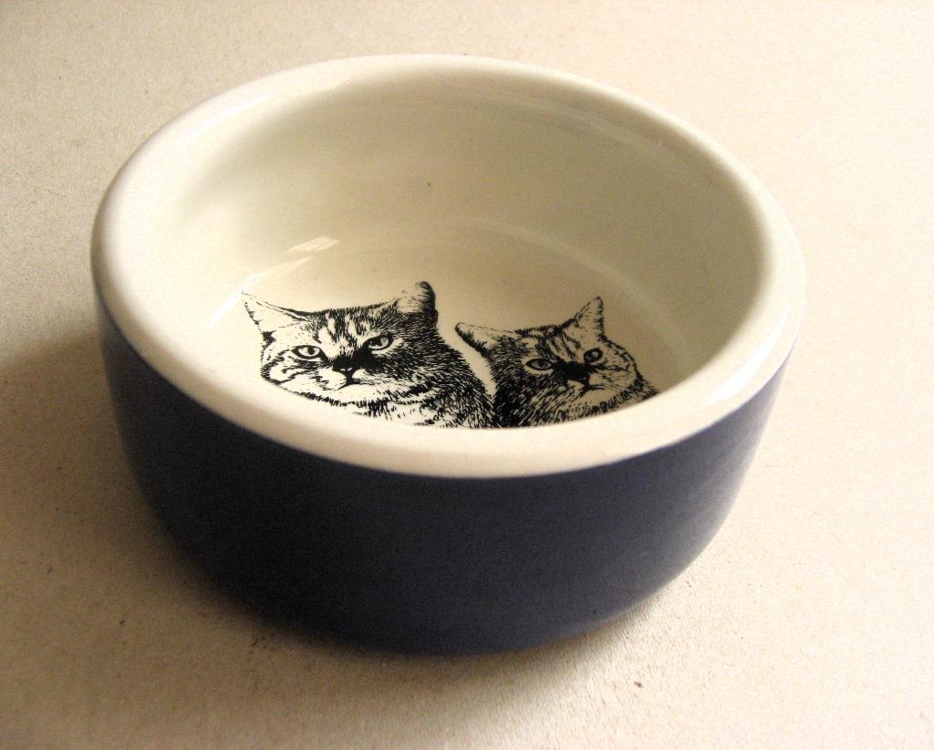 Mooie Engelse voer of drinkbak, Mason Cash, Ophalen of Verzenden, Zo goed als nieuw