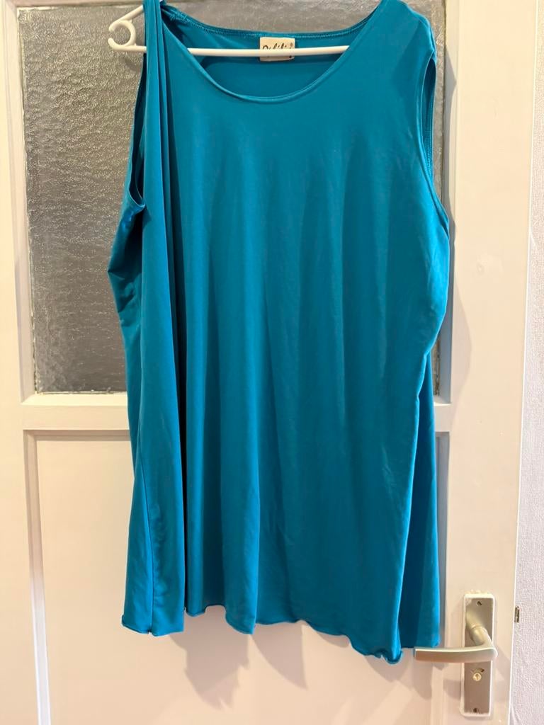 Ophelia mouwloos top maat 4, Kleding | Dames, Verzenden, Zo goed als nieuw, Blauw, Shirt of Top