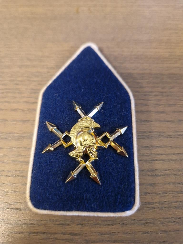 Kraagspiegels Verbindingsdienst NL, Geen, Ophalen of Verzenden, Zo goed als nieuw, Speldje of Pin