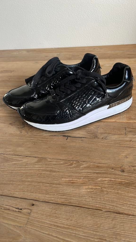 Dames sneakers Ted Baker  zwart met goud vallen iets ruimer, Kleding | Dames, Schoenen, Ophalen of Verzenden, Zo goed als nieuw