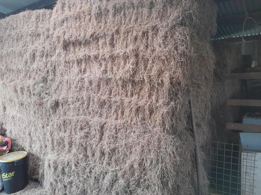 Hooi, Dieren en Toebehoren, Ophalen, Vee