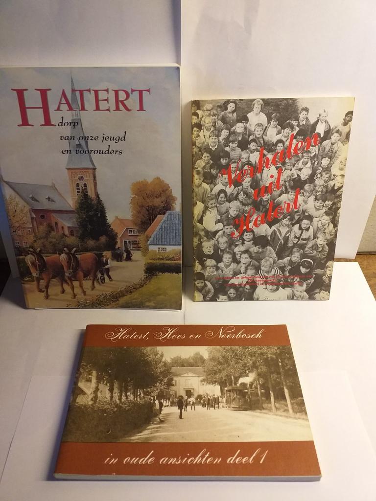 3 BOEKEN NIJMEGEN. HATERT,HEES,EN NEERBOSCH., Ophalen of Verzenden, Gelezen