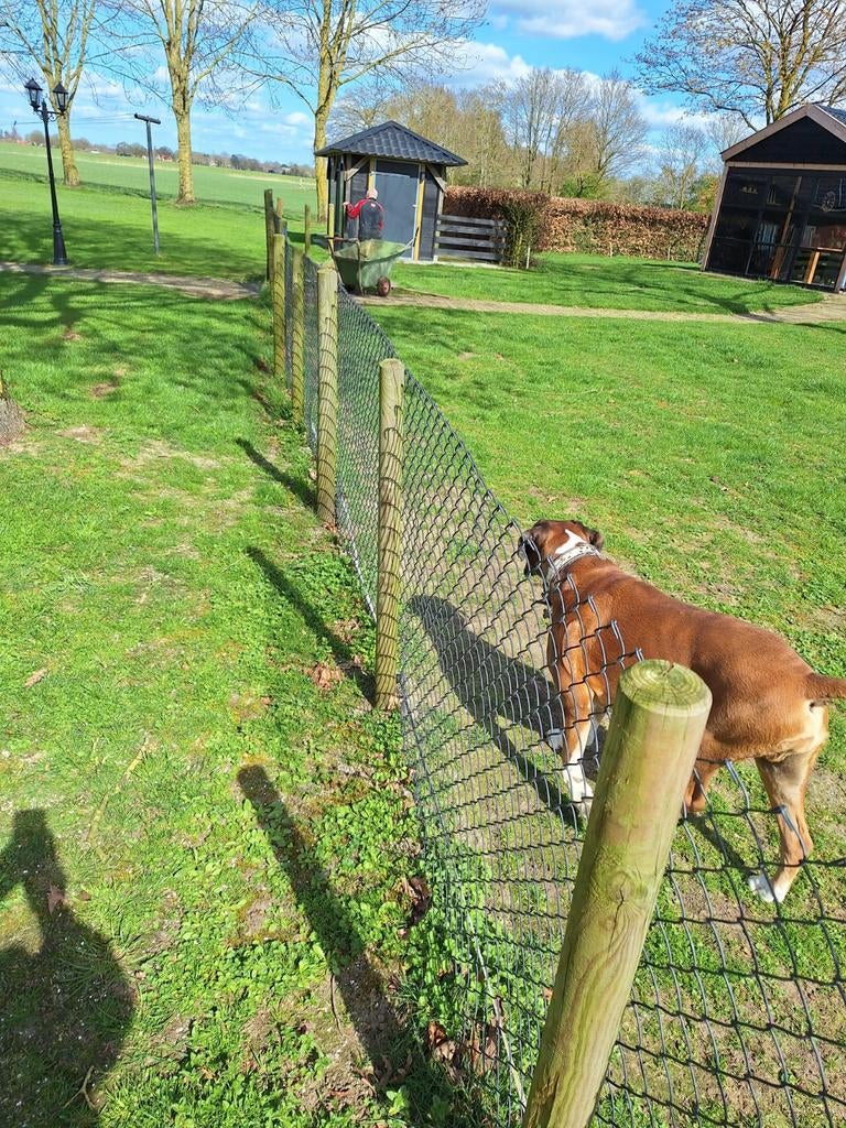 Harmonica gaas geplastificeerd., Ophalen of Verzenden, Minder dan 10 meter