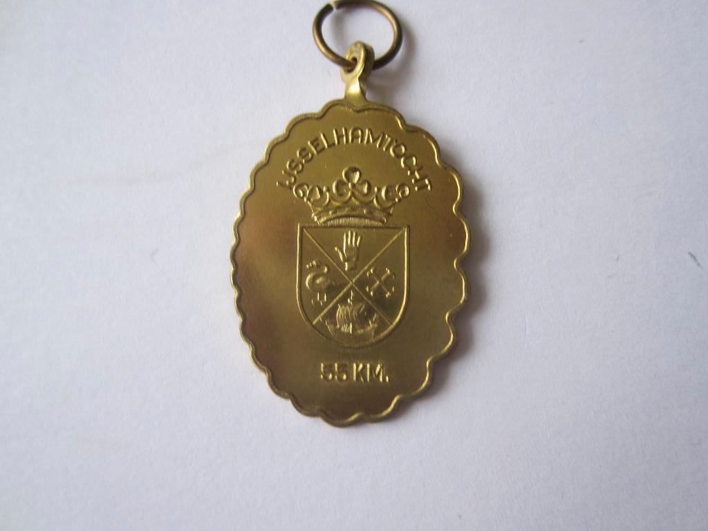 medaille schaatsen Overijssel, Ophalen of Verzenden, Overige materialen, Nederland