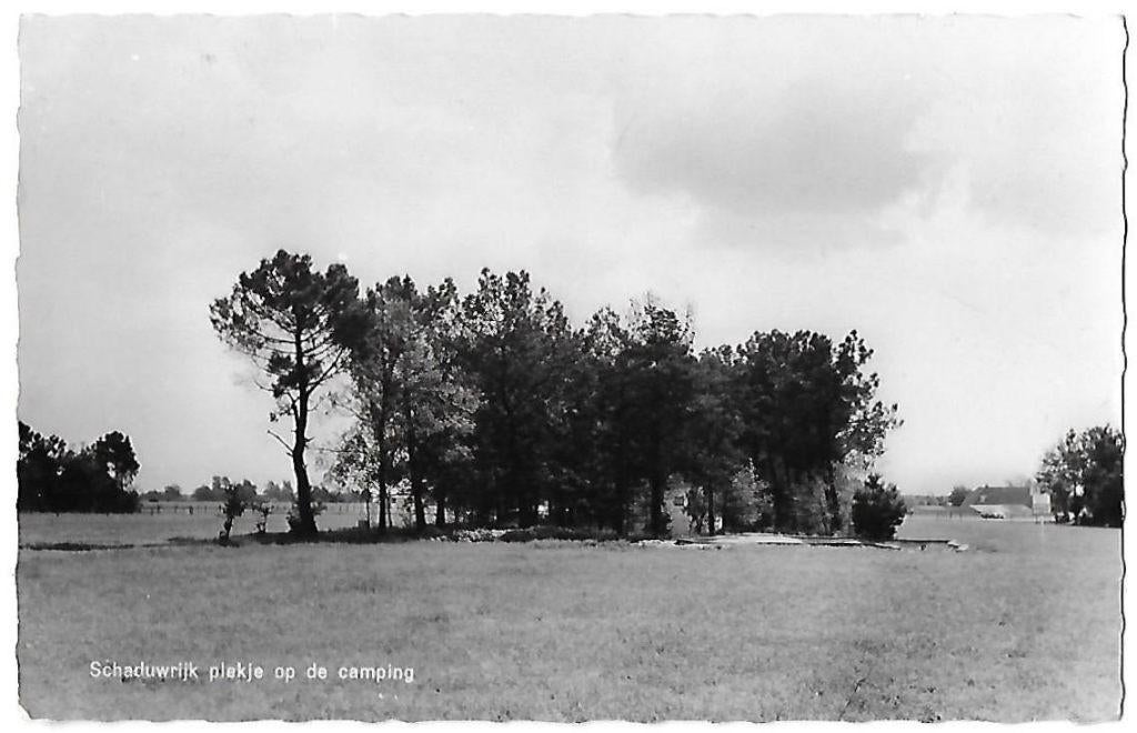 Schayk camping marga oude gelopen ansichtkaart ( 8239 ), Ophalen of Verzenden, Voor 1920, Gelopen