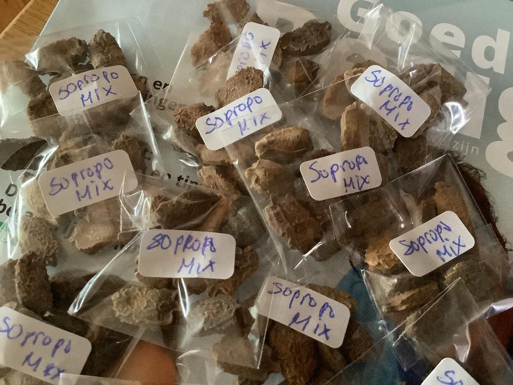 Surinaamse groente zaden 1,00 per zakje, Ophalen of Verzenden, Volle zon