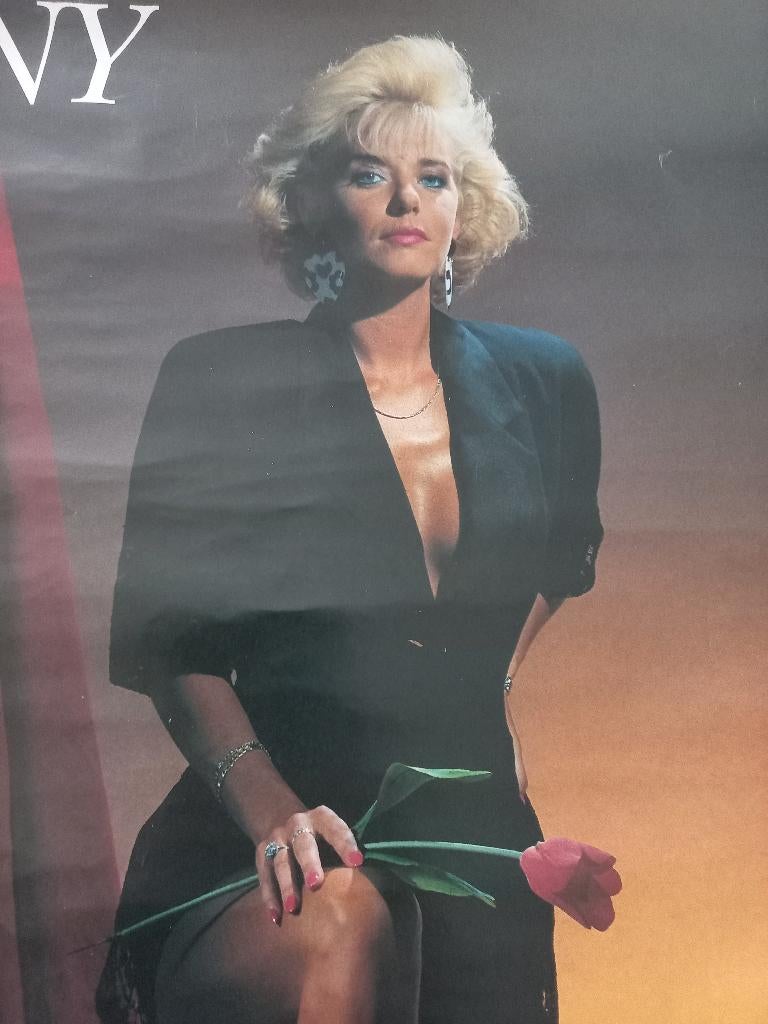 Poster zangeres Hanny., Rechthoekig Staand, Ophalen of Verzenden, Zo goed als nieuw, A1 t/m A3