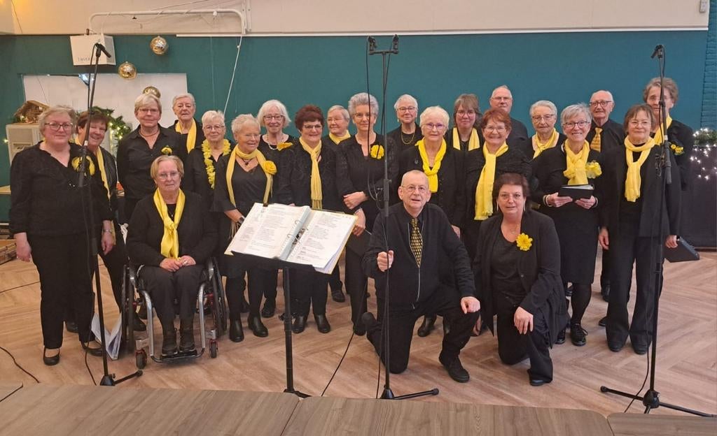 Gevraagd accordeonist of toetsenist in made, Muziek en Instrumenten, Accordeons, Ophalen of Verzenden, Overige merken