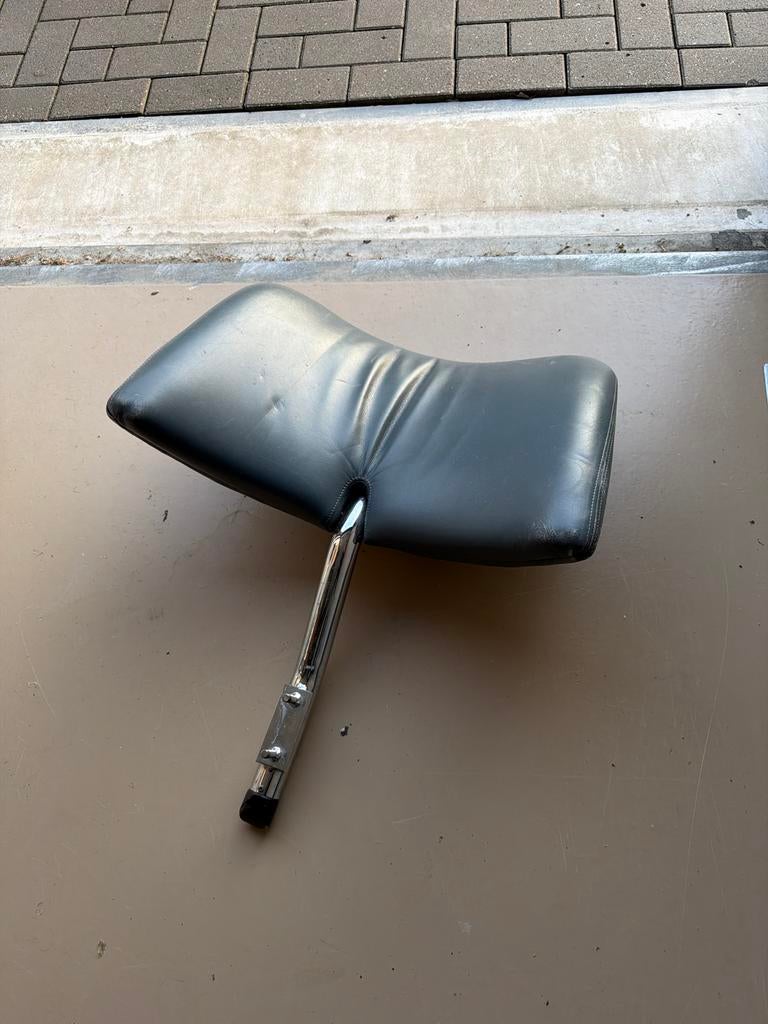 Leolux Pallone rugleuning, Gebruikt, Leer, Ophalen of Verzenden, Eén