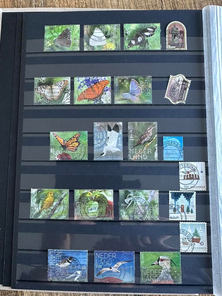 Nederland 21, Verzenden