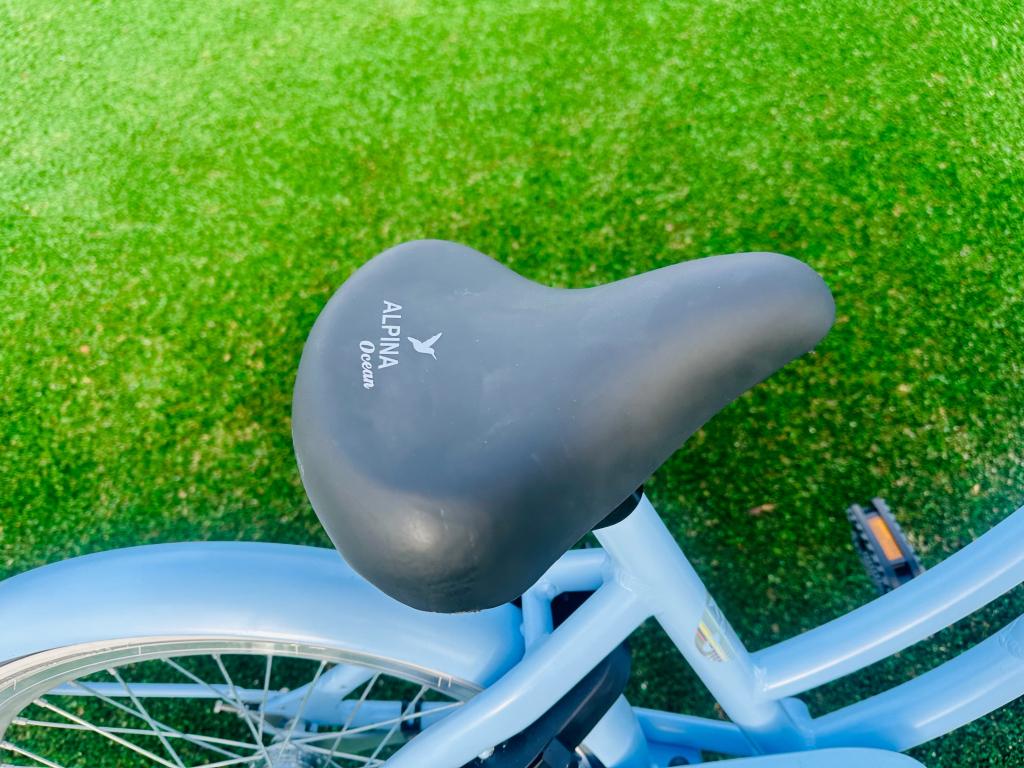 Alpina ocean meisjesfiets 20 inch, Niet ingevuld, 22 inch, Niet ingevuld, Ophalen of Verzenden