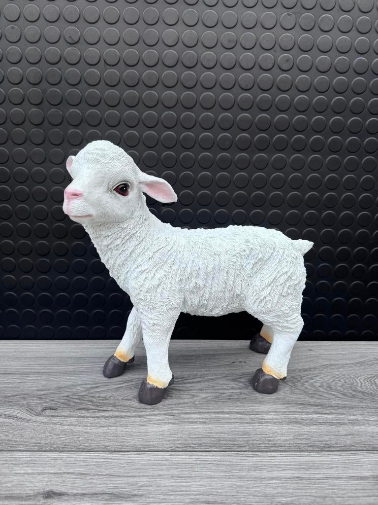 lammetje 30hoog 30breed/Nieuw!, Verzamelen, Beelden en Beeldjes, Ophalen of Verzenden, Nieuw, Dier