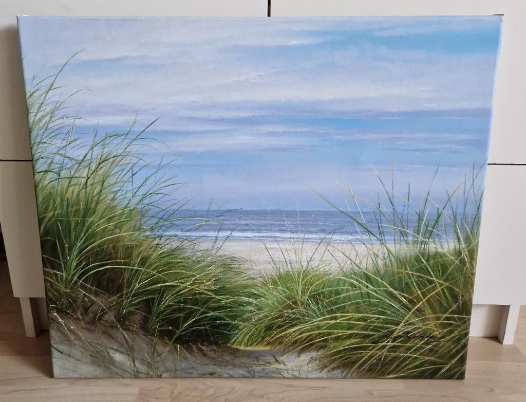 prachtig schilderij strand, gekocht ooit in galerie. 50x60, Ophalen