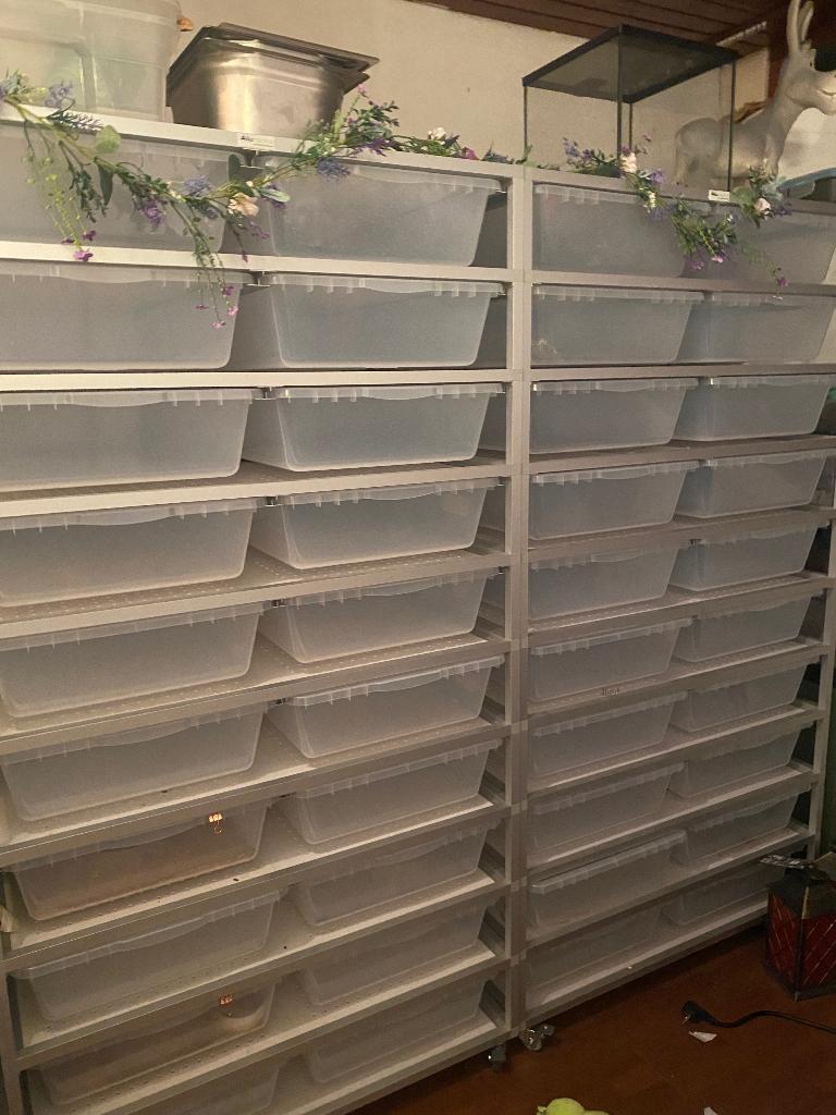 Alurack aluracks v70  (2 racks van 20 bakken), Dieren en Toebehoren, Ophalen, Zo goed als nieuw, Terrarium of Paludarium