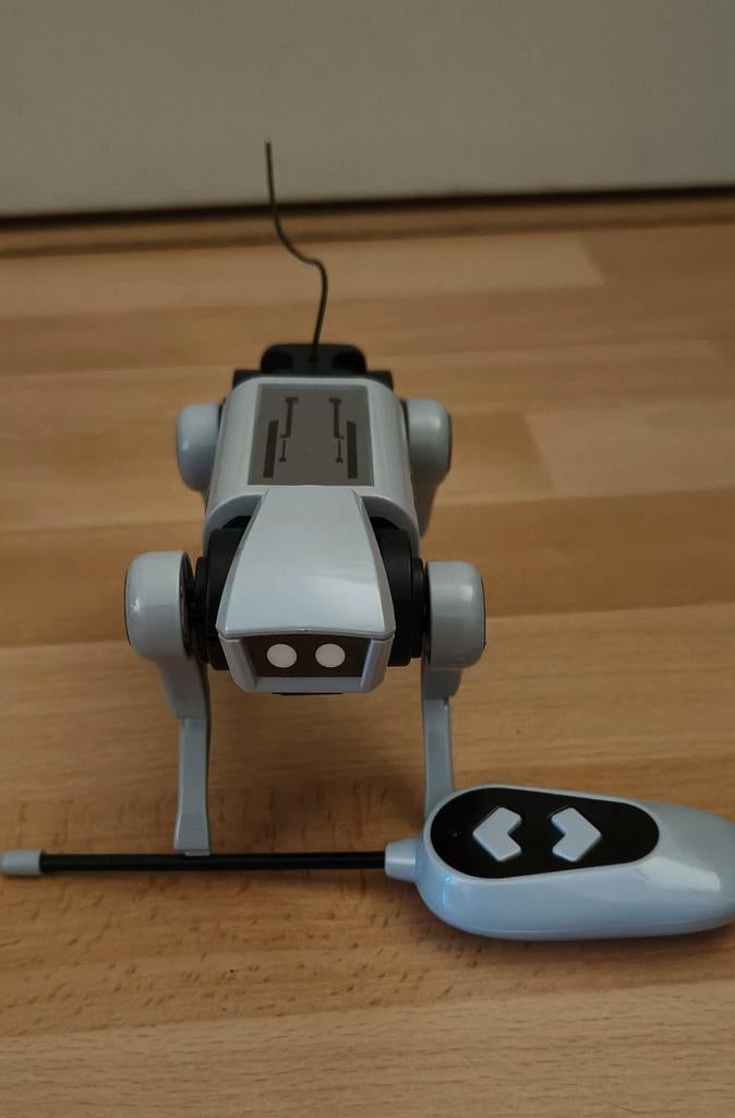 Robot op afstandbediening, Ophalen of Verzenden, Gebruikt