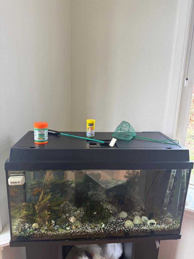 Aquarium met visjes en toebehoren, Ophalen