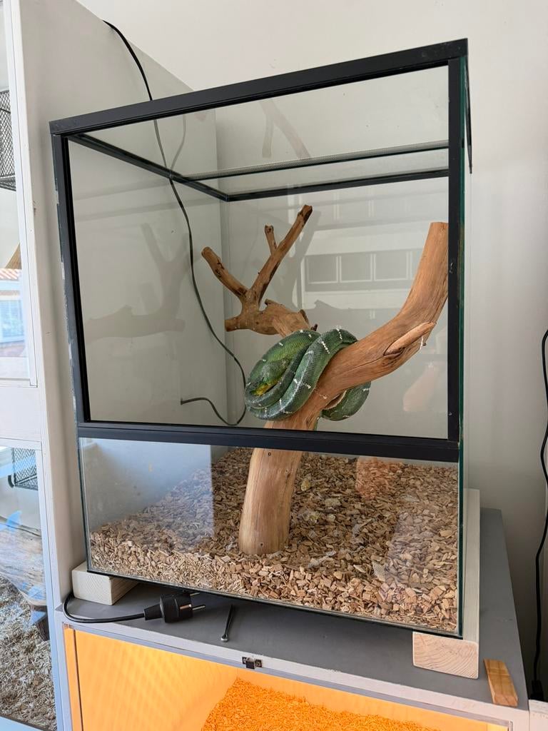 2 volglas terraria, Ophalen, Zo goed als nieuw