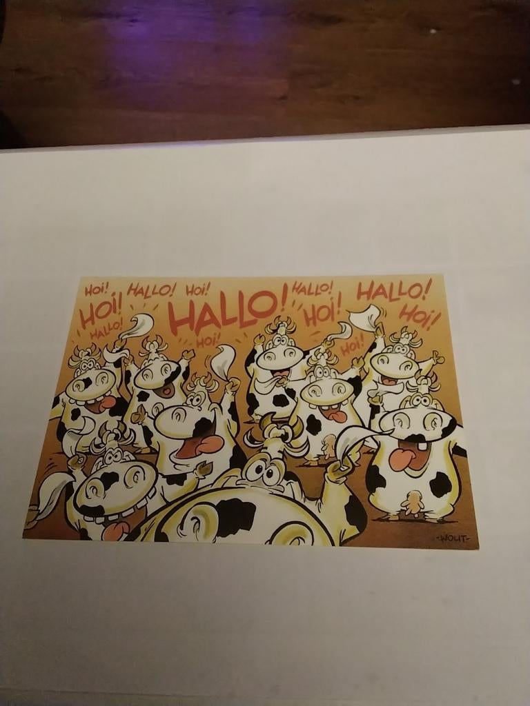 WOUT.  -  KOEIEN., Ophalen of Verzenden, Overige thema's