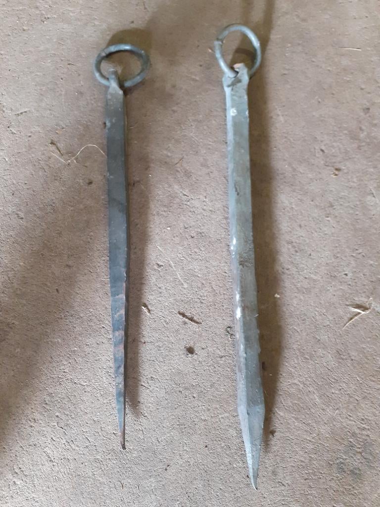 2x spit vastzetpen schaap geit koe hond, Vrouwelijk, Geit