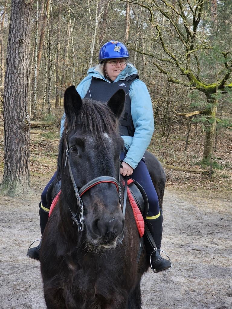 Gezocht buitenrit, Ophalen of Verzenden, Nieuw