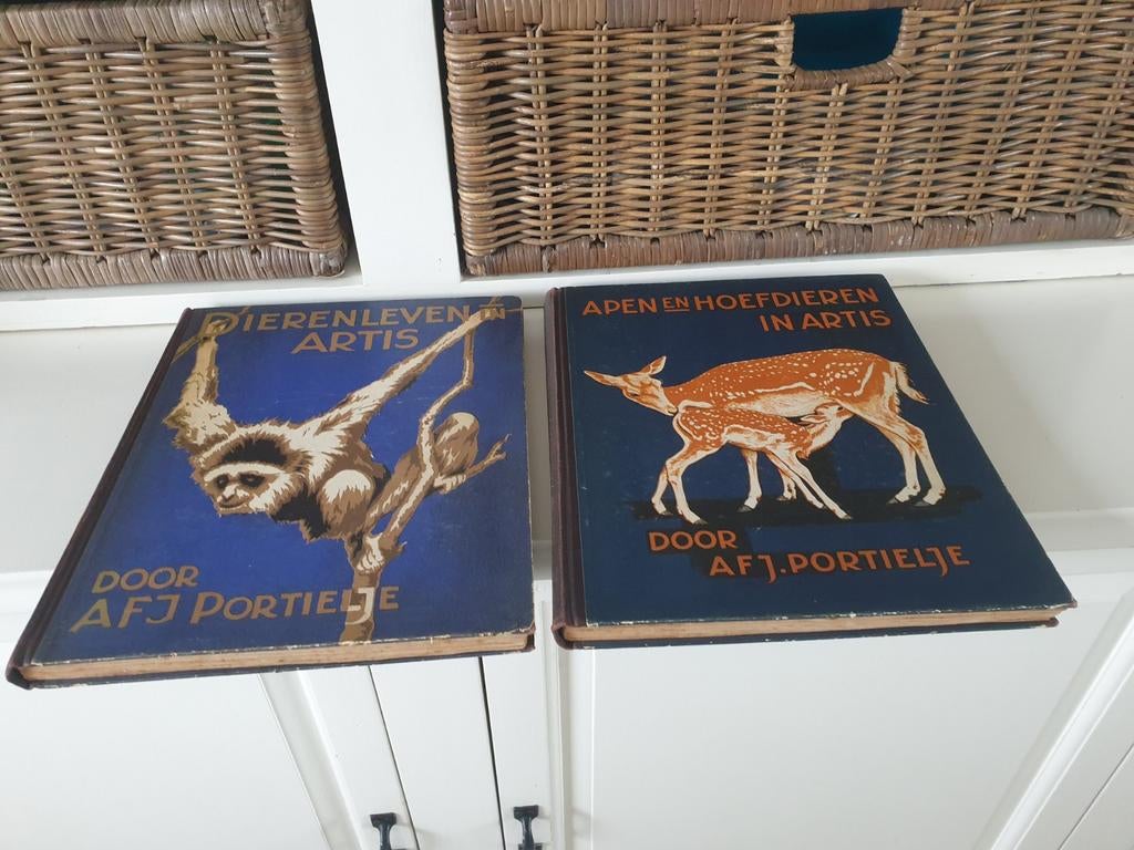 2 Verkade boeken, Ophalen of Verzenden, Gelezen