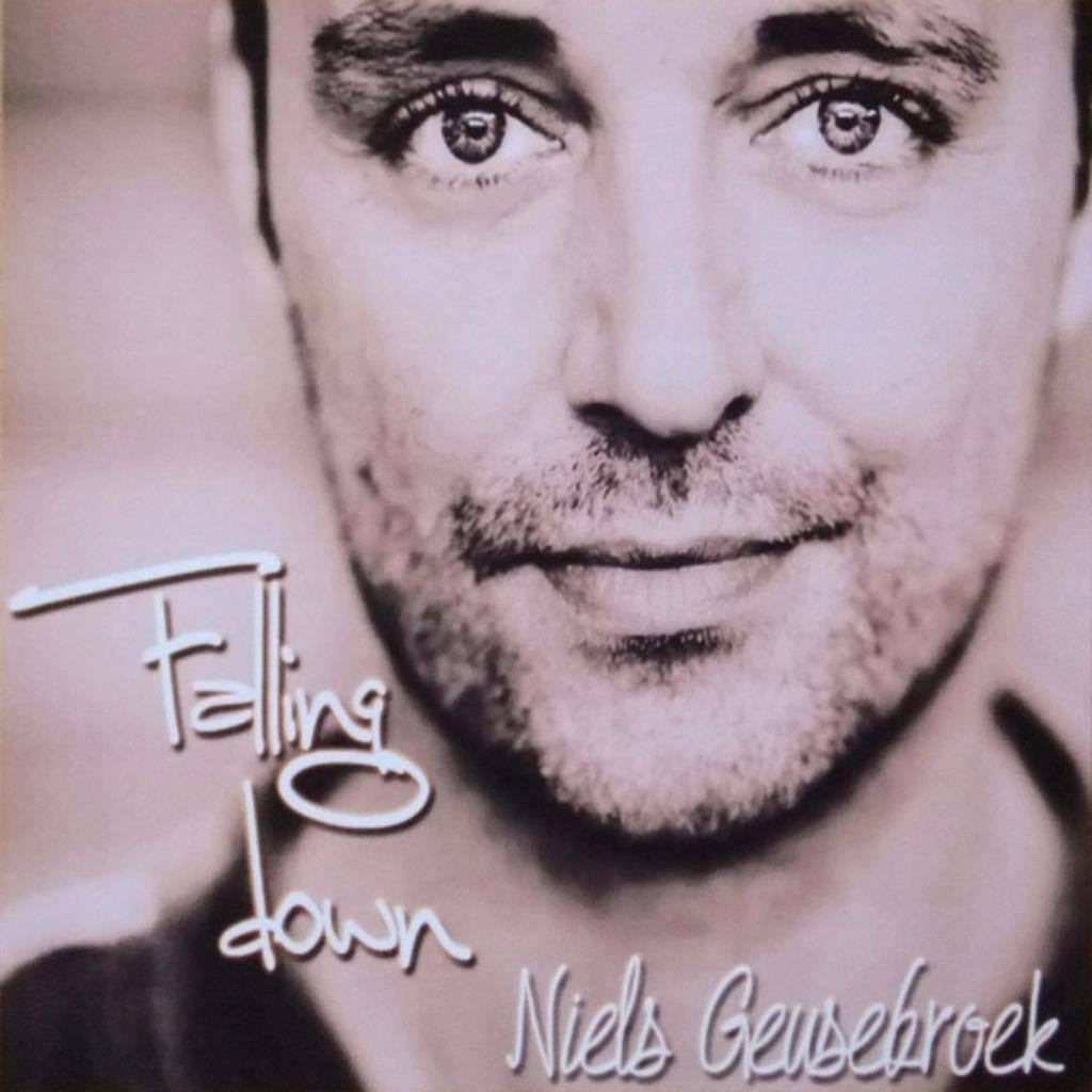 Niels Geusebroek - Falling Down (PROMO), Ophalen of Verzenden, Zo goed als nieuw, Overige genres