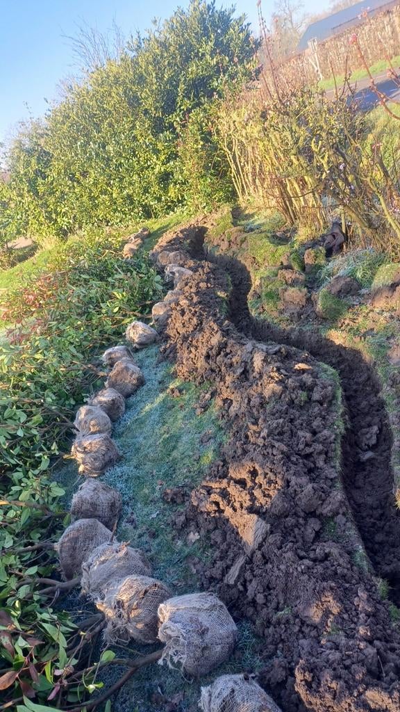 Hovenier – Tuinaanleg, Onderhoud & Boomverzorging., Garantie, Tuinonderhoud of Snoeiwerk