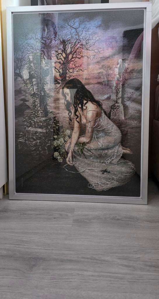 Mooie puzzel in fotolijst, Ophalen of Verzenden, 50 tot 75 cm, Schilderij, 50 tot 75 cm