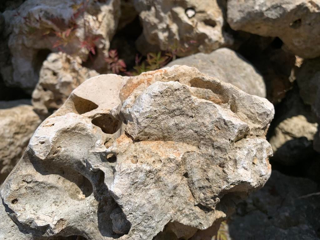 Gele Maanstenen Aquarium Vijverstenen natuursteen, Tuin en Terras, Geel, Nieuw, Ophalen of Verzenden, Kei